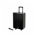 TAGWOOD LTS-12A Outdoor Subwoofer Speaker with Bluetooth,FM Radio,Free Wireless Microphone Woofer